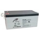 Ritar DC12-260D AGM Battery